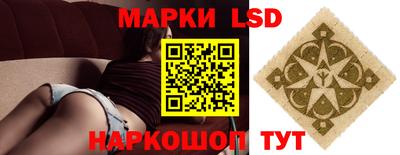 стафф Камышлов