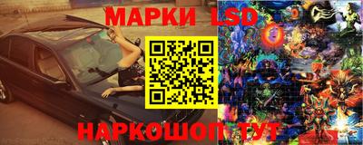 стаф Кандалакша