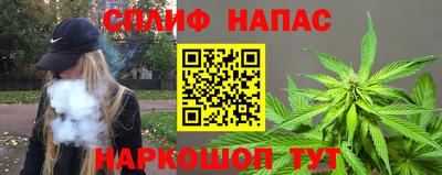 стаф Кандалакша