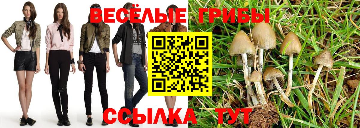 Кудрово  Галлюциногенные грибы мухоморы  Вход с VPN 